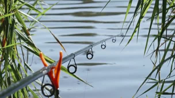 Рибальський Палиця Кинута Озеро Сонячний День Озеро Риболовля Хобі Стиль — стокове відео