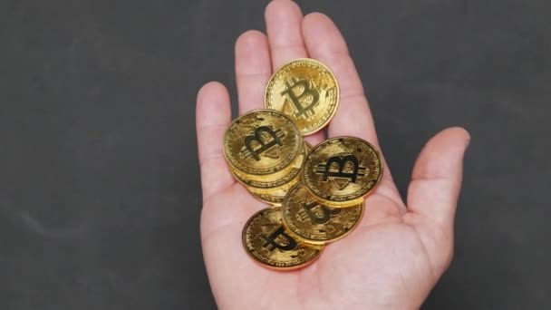 Rik Man Har Handfull Bitcoin Mynt Btc Blockkedjeteknik Cryptocurrency Gruvdrift — Stockvideo