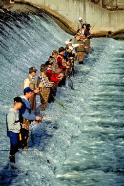Trout fishermen gather at a prized spot along the base of the dam for March 1 opening day of Missouri Trout season at Bennett Spring State Park near Lebanon, Missouri. Bennett Spring is one of four cold water parks in Missouri where Rainbow trout are clipart