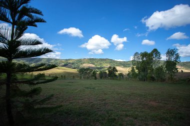 Mavi gökyüzü ve bulutlu yeşil çayırlar