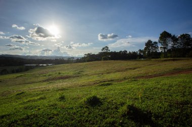 Mavi gökyüzü ve bulutlu yeşil çayırlar