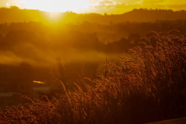 朝の日の出の朝の景色 オレンジ色の深紅色の雲 木々のシルエット 丘の上の牧草地 カラフルな風景スカイラインの背景 — ストック写真