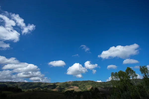 Зеленые Луга Голубым Небом Облаками — стоковое фото