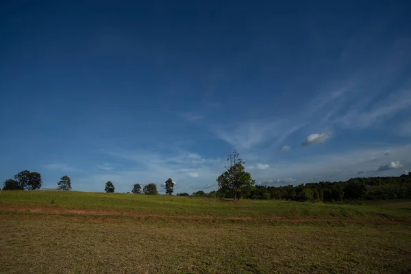 stock image Green meadows with blue sky and clouds background