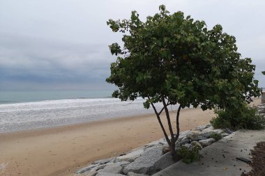 Fırtınalı bir sahil sahnesi. Çarpan dalgalar ve denizin üzerinde kara bulutlar.