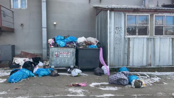 Overflowing Garbage Cans Rubbish Lying Wind Blows Garbage Garbage Bags — Stock Video
