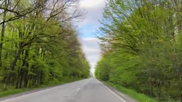 Filmación Hermosa Carretera Primavera Movimiento Bajo Cielo Azul Imágenes Alta — Vídeo de stock