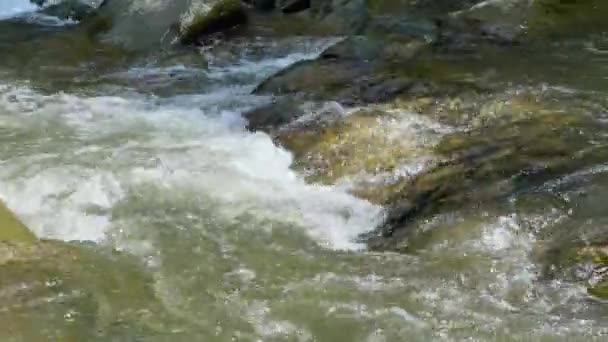 Detailní Video Horské Řeky Tekoucí Hojném Jiskřícím Čistém Potoce Přes — Stock video
