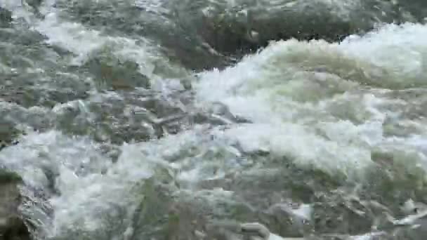 Κρύο Και Γρήγορο Βουνό Ποτάμι Που Περνά Γύρω Από Βράχο — Αρχείο Βίντεο