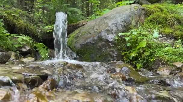 Čistá Pitná Minerální Voda Pramene Stéká Hor Dřevěné Skluzavce Padá — Stock video