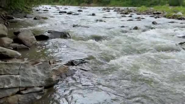 View Stormy Mountain River Flowing Mountains Camera Moves Bottom Top — Stock Video