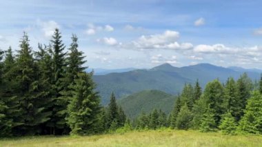 Mavi dağlar, yeşil vadi. Yaz günü Ukrayna dağlarının panoramik manzarası. Carpathian, Ukrayna, Avrupa. Dağ turizmi. Doğal arka plan manzarası, kamera yana kayıyor. Yüksek kalite 4k