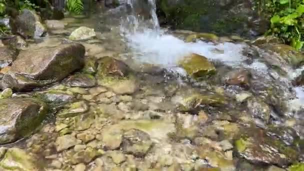 Eine Quelle Reinen Trinkwassers Fließt Von Den Bergen Entlang Einer — Stockvideo