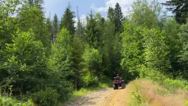 在阳光明媚的夏日 一个男人在森林的土路上骑着一辆越野车 一个男人骑越野车 自然运动背景 自然活动背景 高质量的4K镜头 — 图库视频影像
