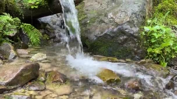 Una Fonte Acqua Minerale Potabile Pura Scende Dalle Montagne Lungo — Video Stock