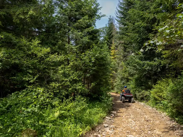 Güneşli bir yaz gününde, ormandaki toprak bir yolda ATV kullanan bir adam. Bir adam ATV kullanıyor. Doğal spor geçmişi, doğal aktivite geçmişi. Yüksek kalite fotoğraf