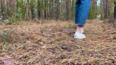 Sonbaharda bir kız güneşli bir çam ormanında yürür. Spor ayakkabılarıyla kadın ayaklarının, ormanda iğne, sarı yaprak ve çam kozalaklarına basması. Yüksek kalite 4k görüntü