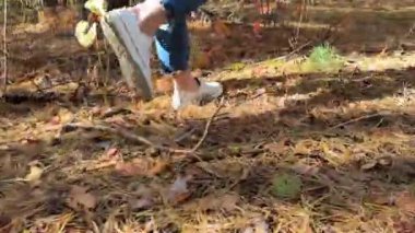 Kameralar dağ ormanlarında yürüyen yürüyüşçüleri takip ediyor. Ormanda yürüyen yakın plan kız ayakları. Ormanda yürüyen ayaklar. Seyahat konsepti. Ormanda yürürken. 