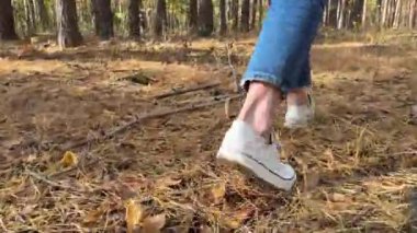 Spor ayakkabılı kadınlar orman yolunda yürürler, patika boyunca yürürler. Kot pantolonlu bacaklar kozalaklı bir ormanda yürüyor. Alt ve arka manzara. - Evet. Yüksek kalite 4k görüntü