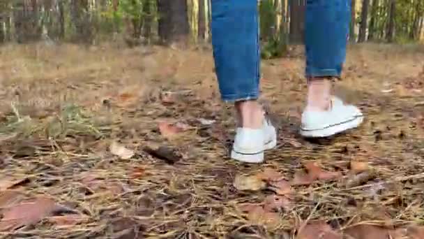 Une Femme Marche Dans Forêt Automne Caméra Vise Ses Pieds — Video