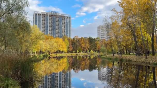 公園で美しい秋の日 静かな湖の近くの市立公園で美しい黄金の秋の風景 高品質の4K映像 — ストック動画