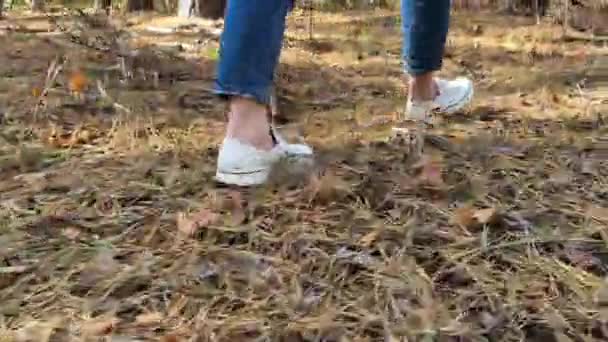女の子は秋に晴れた松の森を歩いています スポーツシューズの女性の足のクローズアップ針 黄色い葉 森の中の松のコーン 高品質の4K映像 — ストック動画