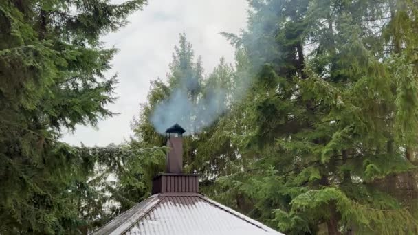 Komin Domowy Dymem Lasu Tle Palenie Powoli Komin Mały Dom — Wideo stockowe