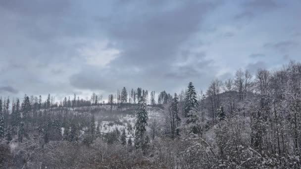 Krásný Čas Zasněžený Zamlžený Den Horách Sněhem Pokryté Stromy Pohybuje — Stock video