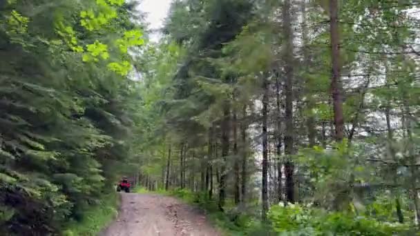 Man Rider Atv Quad Bike Fjällvägen Turist Fyrhjuling Vacker Natur — Stockvideo