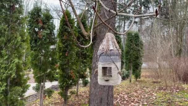 Szenische Aufnahme Eines Kleinen Schönen Weidenvogelhauses Park Vogelsamenhaus Hängt Baum — Stockvideo