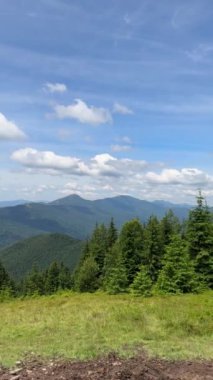 Mavi dağlar, yeşil vadi. Yaz günü Ukrayna dağlarının panoramik manzarası. Carpathian, Ukrayna, Avrupa. Dağ turizmi. Turizm ve seyahat konsepti. Dikey video.