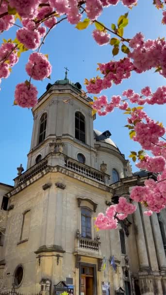 教会の隣にある日本の桜の木の花の垂直カラフルな偶像的な映像 風に振る舞う観光客のアトラクションWiht花や花の風景映像 — ストック動画