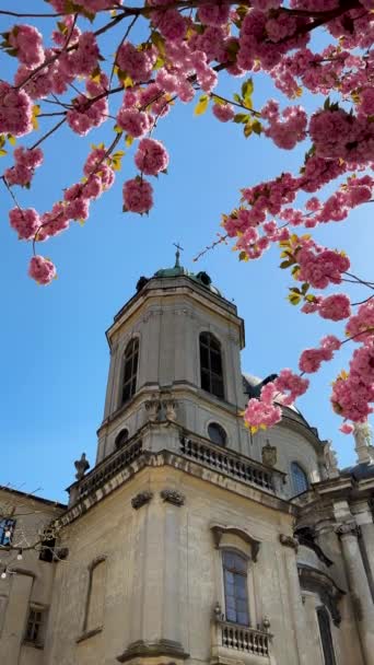 Imagens Idílicas Coloridas Verticais Flores Uma Cerejeira Japonesa Lado Uma — Vídeo de Stock