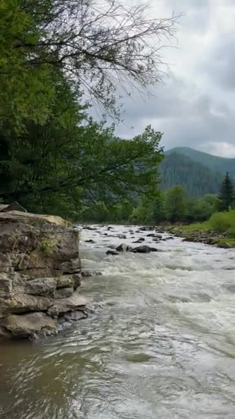 Κατακόρυφο Πλάνο Ενός Θυελλώδους Ορεινού Ποταμού Που Ρέει Από Βουνά — Αρχείο Βίντεο