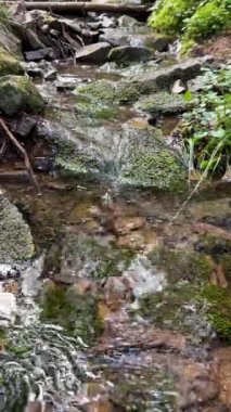 Buz gibi soğuk suyla dağ akıntısının dikey görüntüsü. Yeşil orman ve yosunlarla kaplı taşlarla çevrili bir nehir. Doğal kaynaklar, yeraltı suları, ekoloji, toprak konsepti. Yüksek kalite