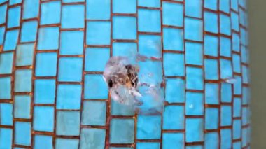 Kaplıcadan sıcak termal su fışkırıyor ve termal otelin üst manzarasındaki havuzdan aşağı akıyor. Spa konsepti, sağlık, rahatlama. Kaplıcalar. Yüksek kalite 4k görüntü