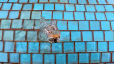 Kaplıcadan sıcak termal su fışkırıyor ve termal otelin üst manzarasındaki havuzdan aşağı akıyor. Spa konsepti, sağlık, rahatlama. Kaplıcalar. Yüksek kalite 4k görüntü