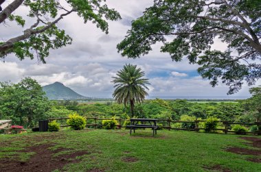 Palmiye ağacı ve dağ manzaralı tropik bir manzara. Dağ manzaralı ve palmiye ağaçlı yemyeşil bir manzara. Banklı ve kıyı dağlı tropik bir manzara. Yüksek kalite fotoğraf