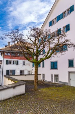 Zürih Eski Kasabası: Cobblestone Bahçesinde Geleneksel Evleri olan Çıplak Yosun Ağacı. İsviçre Tarihi Avlusu: Mavi Panjurlu Beyaz Binalara Karşı Yosunlu Çıplak Ağaç. Yüksek kalite fotoğraf