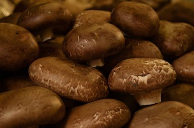 Çiftçi pazarı, kahverengi şampiyon mantarları. Portobello