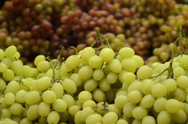 ブドウの束 緑のブドウがたくさん ブドウと市場の屋台 収穫メルロ ソーヴィニヨン シラーズ 大規模な緑のブドウのクラスター 背景にブルーブドウ — ストック写真
