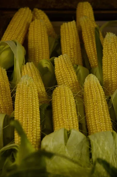 新鲜的玉米芯 玉米的一个部分剪短的耳朵在玉米的垃圾箱 农民们正在农贸市场上出售有机玉米 — 图库照片