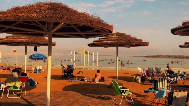 Izrael Martwy Kurort Sea Ein Bobek Listopad 2022 Plaża Pustyni — Wideo stockowe