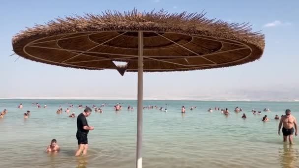 Israel 대한민국의 천연기념물 지정되어 사막의 해변에서 사람들은 바다에서 헤엄치고 있습니다 — 비디오