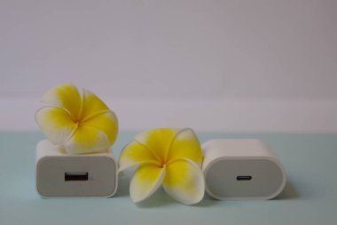 Mavi arka planda Plumeria çiçeği ve Yusb için bir adaptör. Işıklandırma kablosu. Ekolojik enerji kavramı, Mini USB Hub Eklentileri, 4 Port USB 3.0 