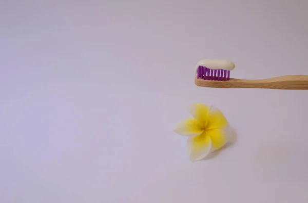 Wooden Toothbrush White Toothpaste Background Plumeria Flower Concept Environmental Friendliness — Stock Photo, Image