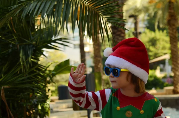 Chłopiec Okularach Przeciwsłonecznych Kapeluszu Świętego Mikołaja Gałąź Dłoni Słońce Koncepcja — Zdjęcie stockowe