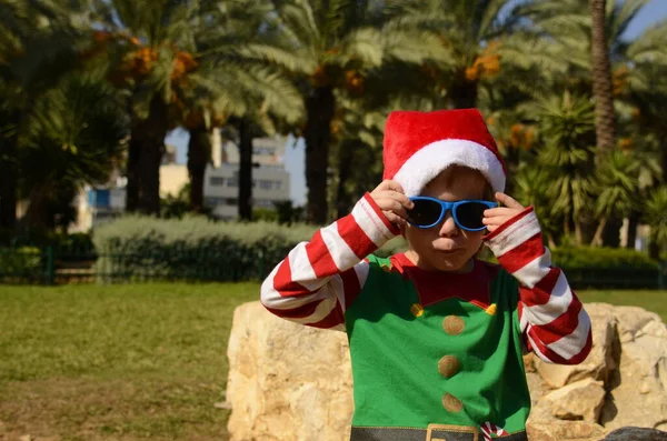 Хлопчик Сонцезахисних Окулярах Капелюсі Санта Клауса Пальмова Гілка Сонце Різдвяна — стокове фото