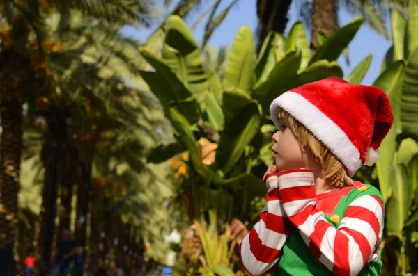 Positive funny kid in Santa Claus hat and elf costume in palm grove. Portrait of a child who holds his head, covers his ears with his hands. Christmas travel, vacation at the resort in winter. Children\'s whims, surprise, joy, tired.