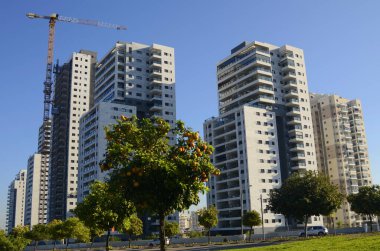 Rishon Lezion. İsrail. Aralık 2022. Emlak ve yeni binalar. Yeni yerleşim alanları, palmiye ağaçları, portakal ağaçları, otoyollar. İnşaat vinci, inşaat alanı.